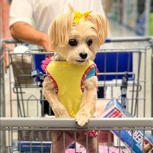 Meet your Posher, Norma